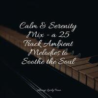 Calm & Serenity Mix - a 25 Track Ambient Melodies to Soothe the Soul