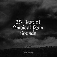 25 Best of Ambient Rain Sounds