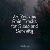 25 Relaxing Rain Tracks for Sleep and Serenity