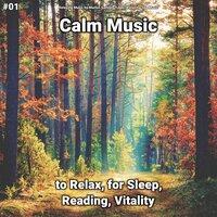 #01 Calm Music to Relax, for Sleep, Reading, Vitality