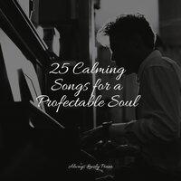 25 Calming Songs for a Profectable Soul