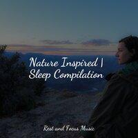 Nature Inspired | Sleep Compilation
