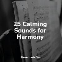 25 Calming Sounds for Harmony