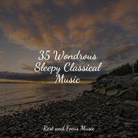 35 Wondrous Sleepy Classical Music