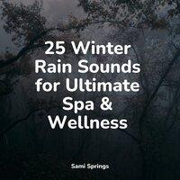 25 Winter Rain Sounds for Ultimate Spa & Wellness