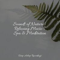 Sounds of Nature | Relaxing Music | Spa & Meditation