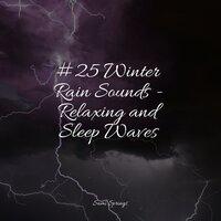 #25 Winter Rain Sounds - Relaxing and Sleep Waves
