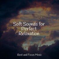 Soft Sounds for Perfect Relaxation