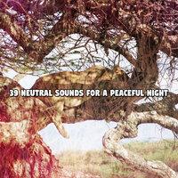 39 Neutral Sounds For A Peaceful Night