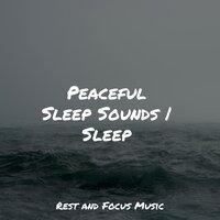 Peaceful Sleep Sounds | Sleep