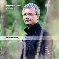 Hannes Raffaseder: Chamber Music