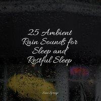 25 Ambient Rain Sounds for Sleep and Restful Sleep