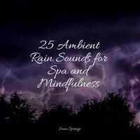 25 Ambient Rain Sounds for Spa and Mindfulness