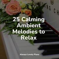 25 Calming Ambient Melodies to Relax