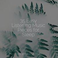35 Easy Listening Music Pieces for Sleep