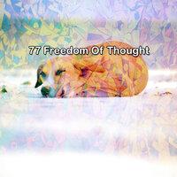 77 Freedom Of Thought