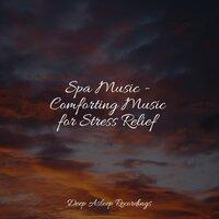 Spa Music - Comforting Music for Stress Relief
