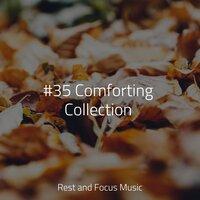 #35 Comforting Collection