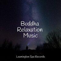 Buddha Relaxation Music