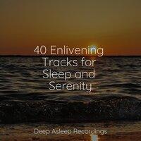40 Enlivening Tracks for Sleep and Serenity