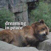 Dreaming in Peace