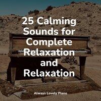 25 Calming Sounds for Complete Relaxation and Relaxation