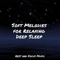 Soft Melodies for Relaxing Deep Sleep