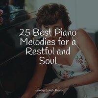 25 Best Piano Melodies for a Restful and Soul