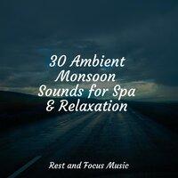 30 Ambient Monsoon Sounds for Spa & Relaxation