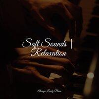 Soft Sounds | Relaxation