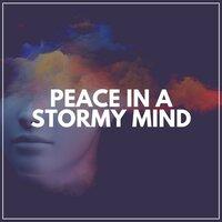 Peace in a Stormy Mind
