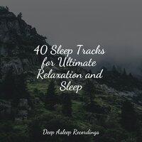 40 Sleep Tracks for Ultimate Relaxation and Sleep