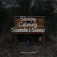 Sleepy Calming Sounds | Sleep