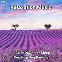 #01 Relaxation Music to Calm Down, for Sleep, Reading, Dog Barking