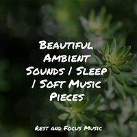 Beautiful Ambient Sounds | Sleep | Soft Music Pieces