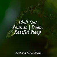 Chill Out Sounds | Deep, Restful Sleep