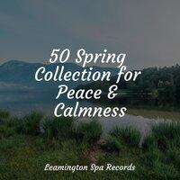 50 Spring Collection for Peace & Calmness