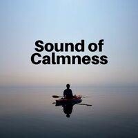 Sound of Calmness