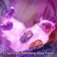 55 Spiritually Refreshing Sleep Tracks