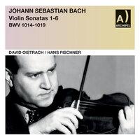 Bach: Violin Sonatas Nos. 1-6, BWVV 1014-1019