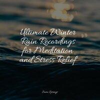 Ultimate Winter Rain Recordings for Meditation and Stress Relief