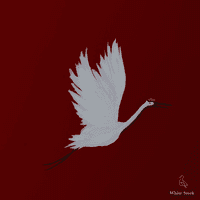 White Stork Reimagines: Film Themes