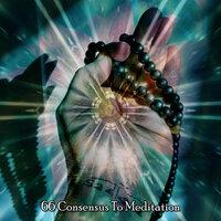 66 Consensus To Meditation