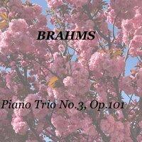 Brahms: Piano Trio No.3, Op.101