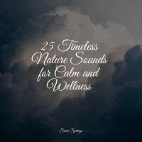 25 Timeless Nature Sounds for Calm and Wellness
