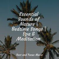 Essential Sounds of Nature | Bedtime Songs | Spa & Meditation