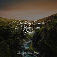 35 Soothing Sounds for Calming and Yoga