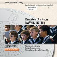Johann Sebastian Bach: Cantatas / Kantaten BWV 63, BWV 110, BWV 190