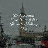 25 Essential Rain Sounds for Ultimate Chilling Out