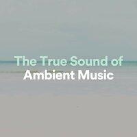 The True Sound of Ambient Music